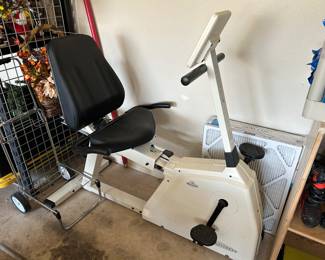 Recumbent Bike