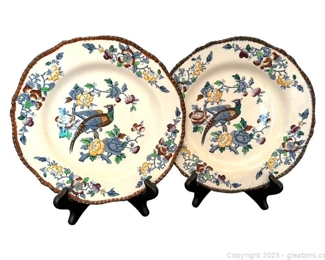Pair of Vintage Woods Ware Mayfair Design Dinner Plates