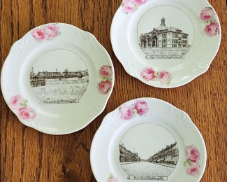 Reedsburg Souvenir China Plates