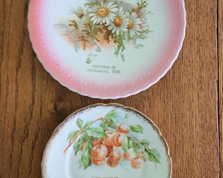 Baraboo Souvenir Plates