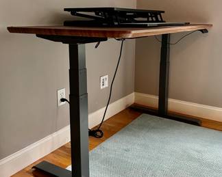 Varidesk Adjustable Standing Desk