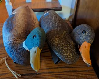 Plastic Duck Decoys