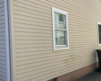 entire house, vinyl siding