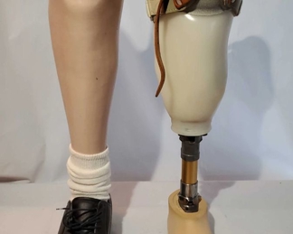 (2) Prosthetic Left Legs
