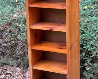 Bold Pine Bookshelf
