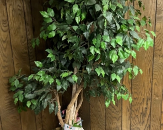 silk ficus tree