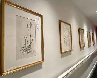 SOLD; varying sizes and varying artists' botanicals;