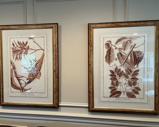 52. Pair of Framed Botanical Prints (30" x 39")