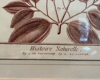 52. Pair of Framed Botanical Prints (30" x 39")