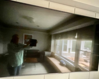 67. Sony Bravia TV (65")