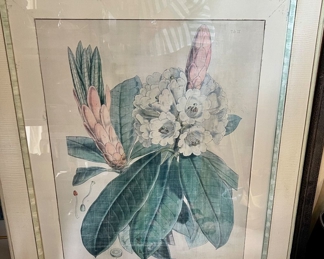 93. Set of 3 Framed Botanical Prints (28" x 35")