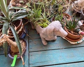 dog planter