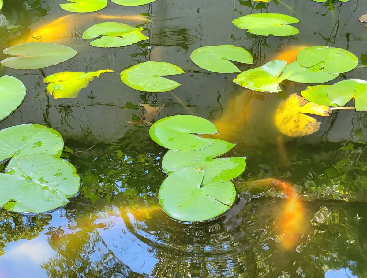 Large Chattanooga Estate Sale starts on 8/25/2023