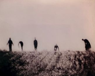 Michael Rovner Chromogenic Print 
"In the Field" 
16" x 19-1/4"