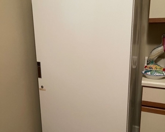 Upright freezer