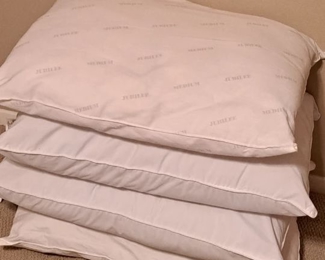 Pillows (regular size)