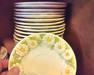 and more....'Poppy Trail'