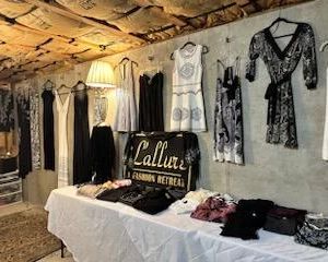 Many Racks of Designer Clothing! Mostly Women’s Size Small to Medium, Size 4 - 8. Notable Brands: Ann Taylor, Cache, White House Black Market, Calvin Klein, Bebe, Guess, Micheal Kors, BCBG Maxazria, Banana Republic, Zara, and More! 