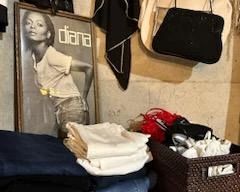 Designer Jeans and Camisoles 