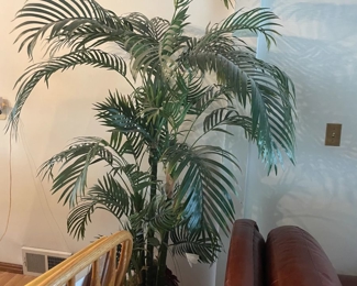 . . . a faux fern