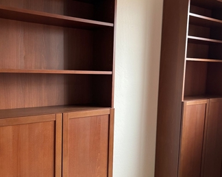Bookcase w Closed Storage x 2 