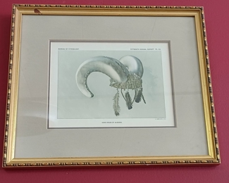 fuquayauctioncompany.hibid.com