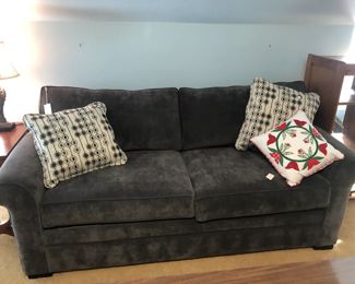 Couch with pull out bed