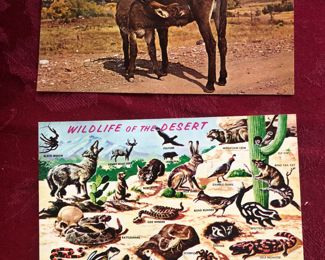 Lots of vintage postcards