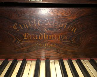 Lighte Newton Bradburns NY