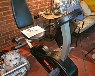 Edge Recumbent Exercise Bike!