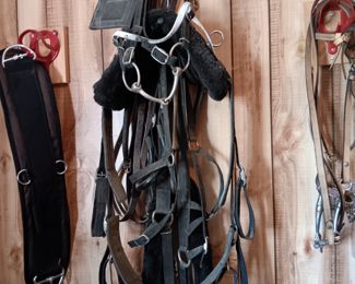 Assorted Horse Reins, Leads, Harnesses, Girth