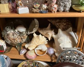 Seashells