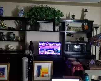 Entertainment Center. It's filled right now because of the upcoming Estate Sale and this is for sale as well. Because I am moving out of state, this is a STEAL. If you're in the market for a large, yet easily transportable entertainment set...you've found it and the price has been cut in half. Come see... Holds a 50 1/4" (w) x 25 1/2" (d) x 33 3/4"(h).