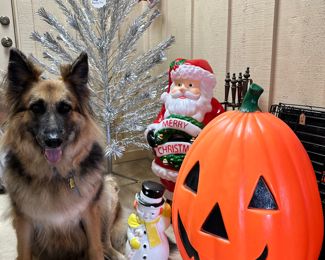 Halloween and Christmas Blow Molds