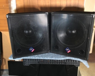 (2) Nady Audio PSW18 ProPower Subwoofers