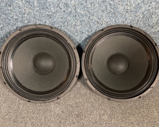 Pair of JAY6110 - 14” Speakers