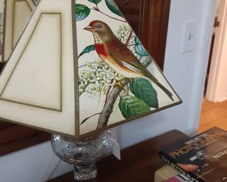 Different Birds on the Lampshade