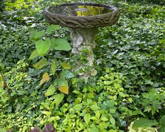 BIRD BATH