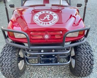 WORKING HEADLIGHTS/BRUSH GUARD