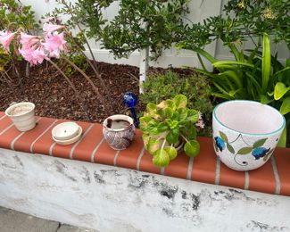 Various Size Plant Pots
