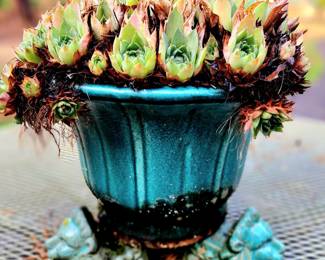 Celadon Succulent Pot