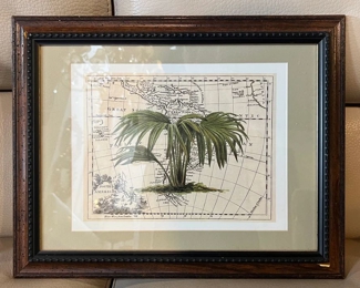 Framed Palm Tree Map Art 