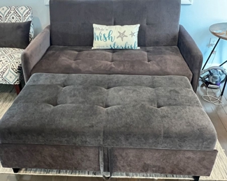 $100 
Closes to couch 