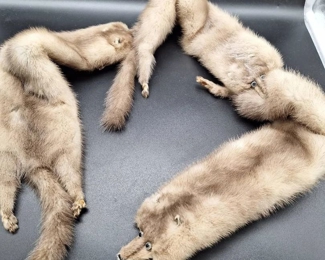 Womens Vintage Fur Collar