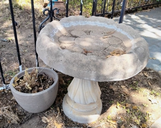 Birdbath