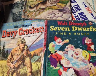 Very Large Book Collection