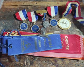 Swimming Medals