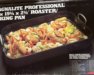 Magnalite Professional