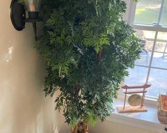 Ficus Tree / Ceramic Pot $ 68.00