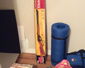 Daisy pellet gun
